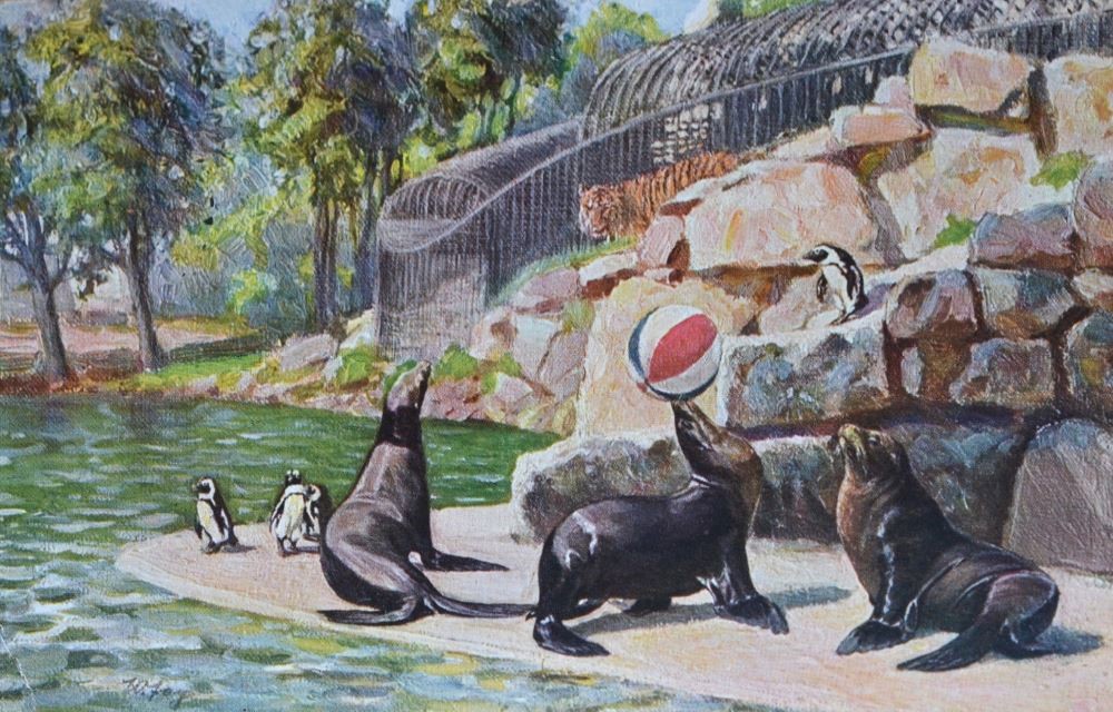 Zoologischer Garten