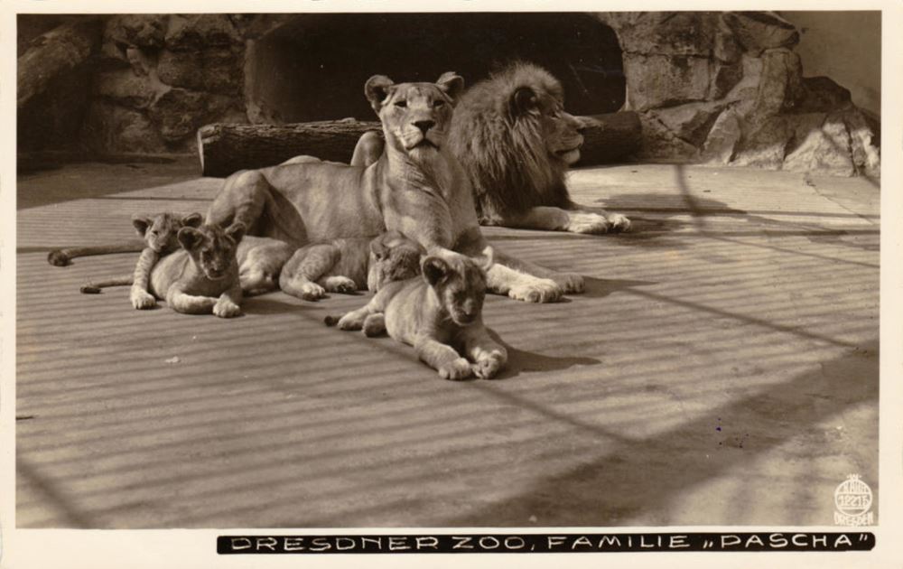 Zoologischer Garten