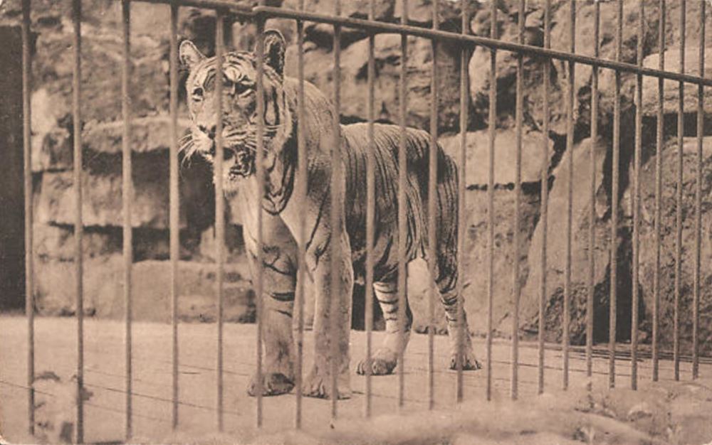 Zoologischer Garten