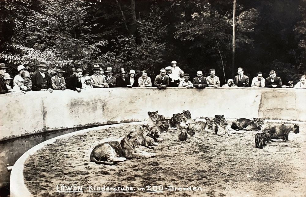 Zoologischer Garten