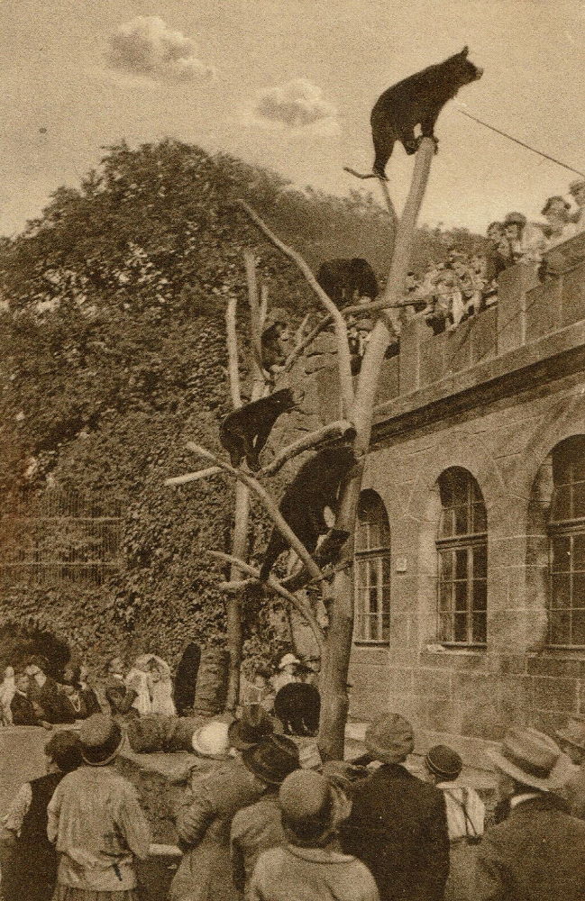 Zoologischer Garten