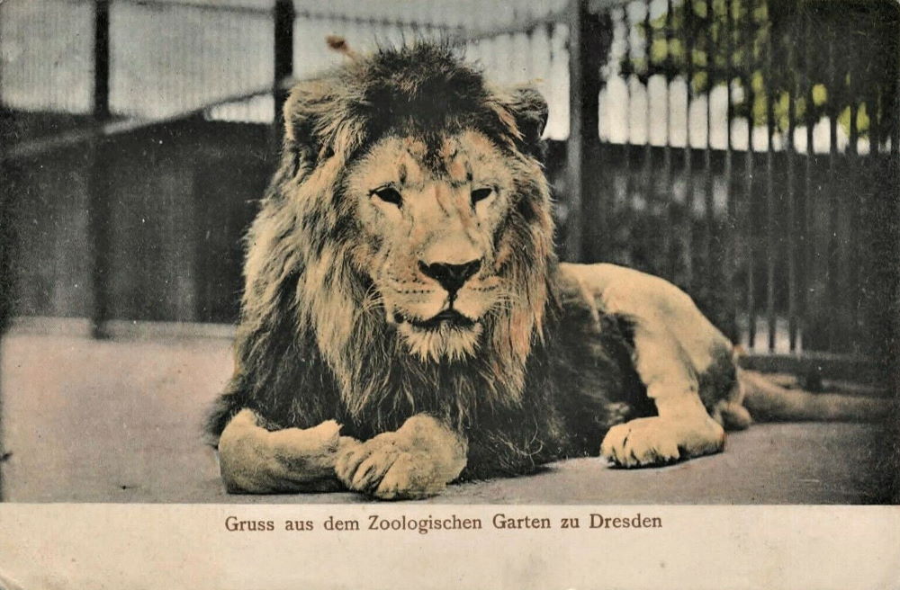 Zoologischer Garten