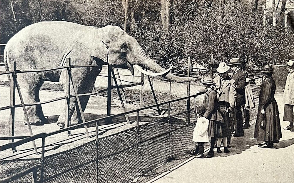 Zoologischer Garten