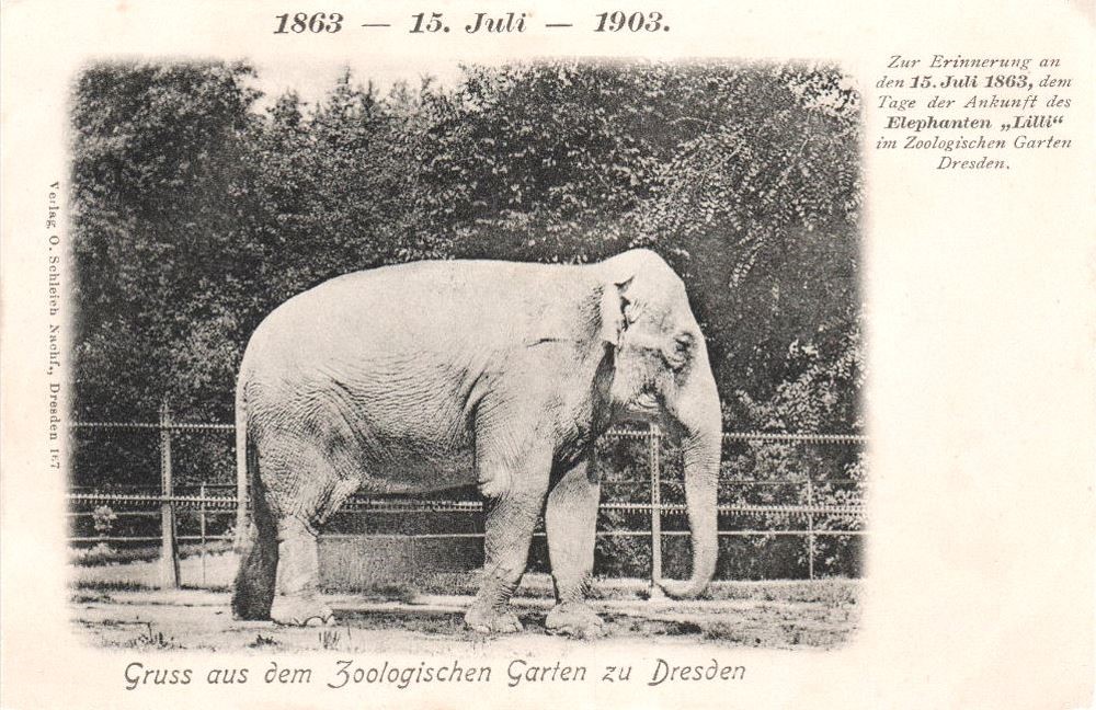 Zoologischer Garten