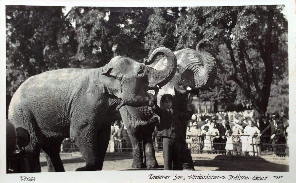 Zoologischer Garten