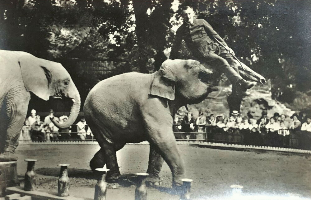Zoologischer Garten