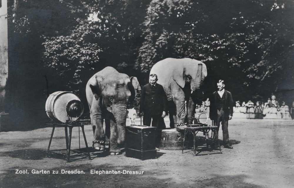Zoologischer Garten