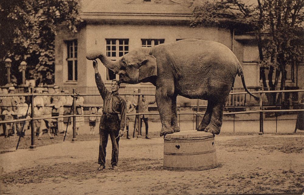 Zoologischer Garten
