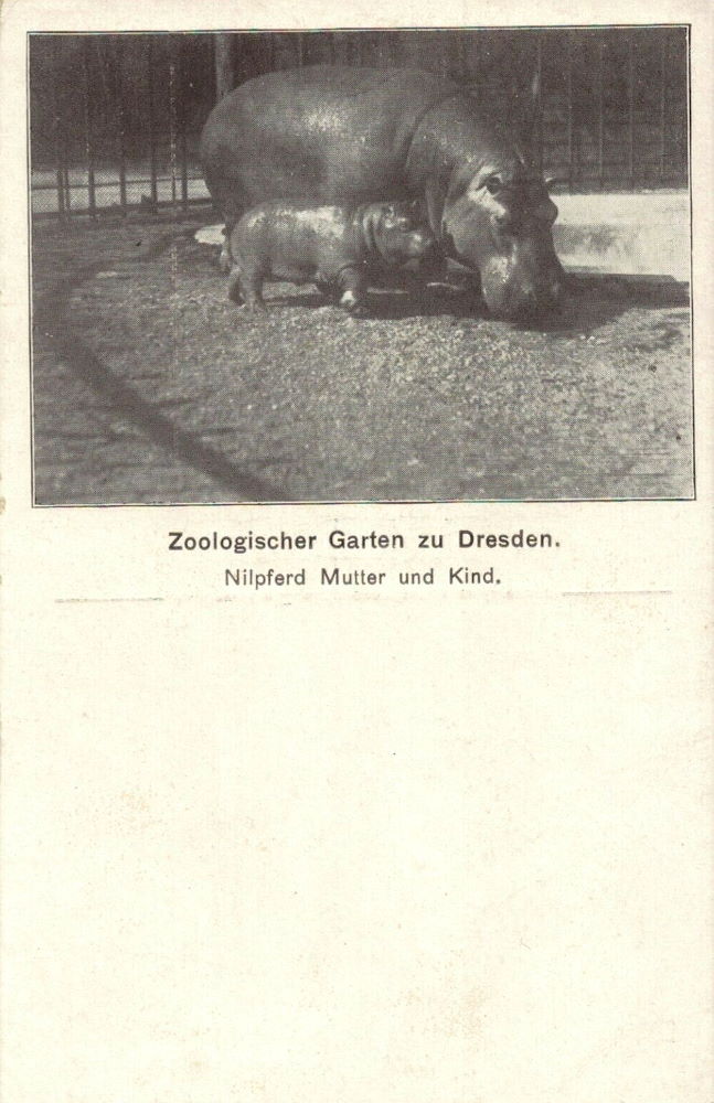Zoologischer Garten