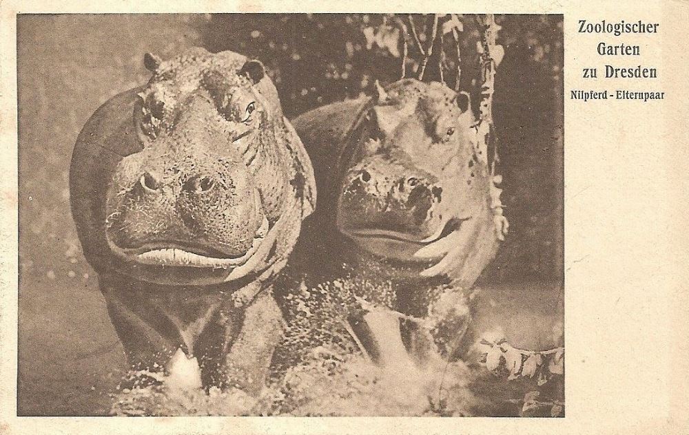 Zoologischer Garten