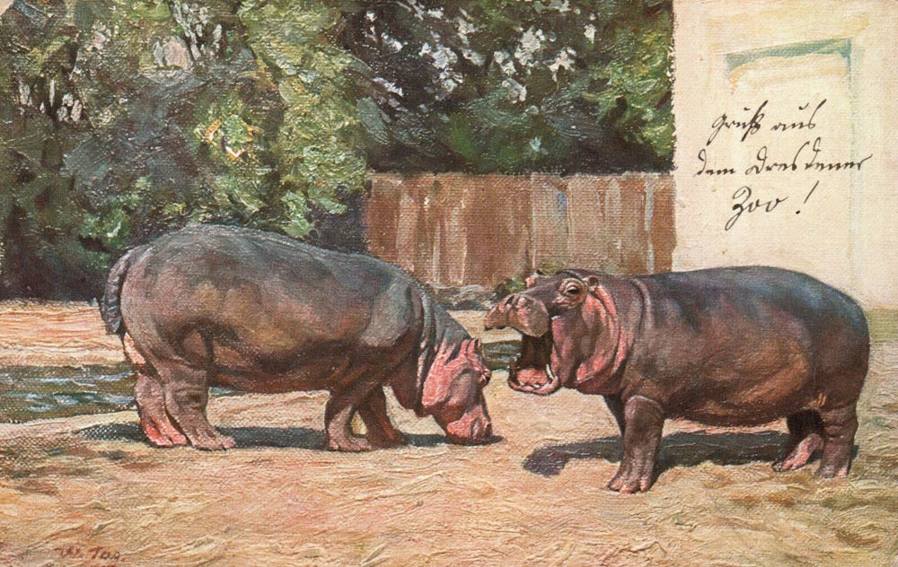 Zoologischer Garten