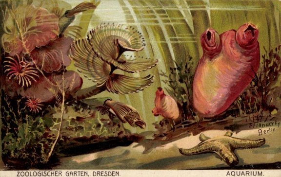 Zoologischer Garten