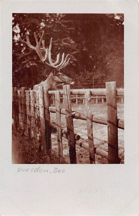 Zoologischer Garten