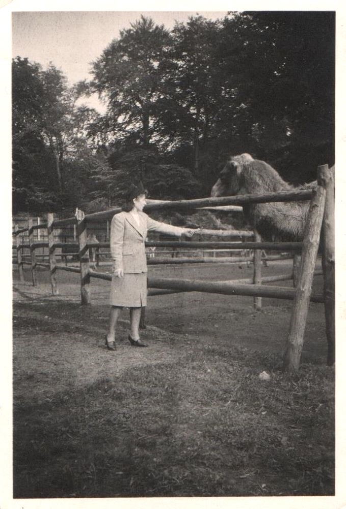Zoologischer Garten