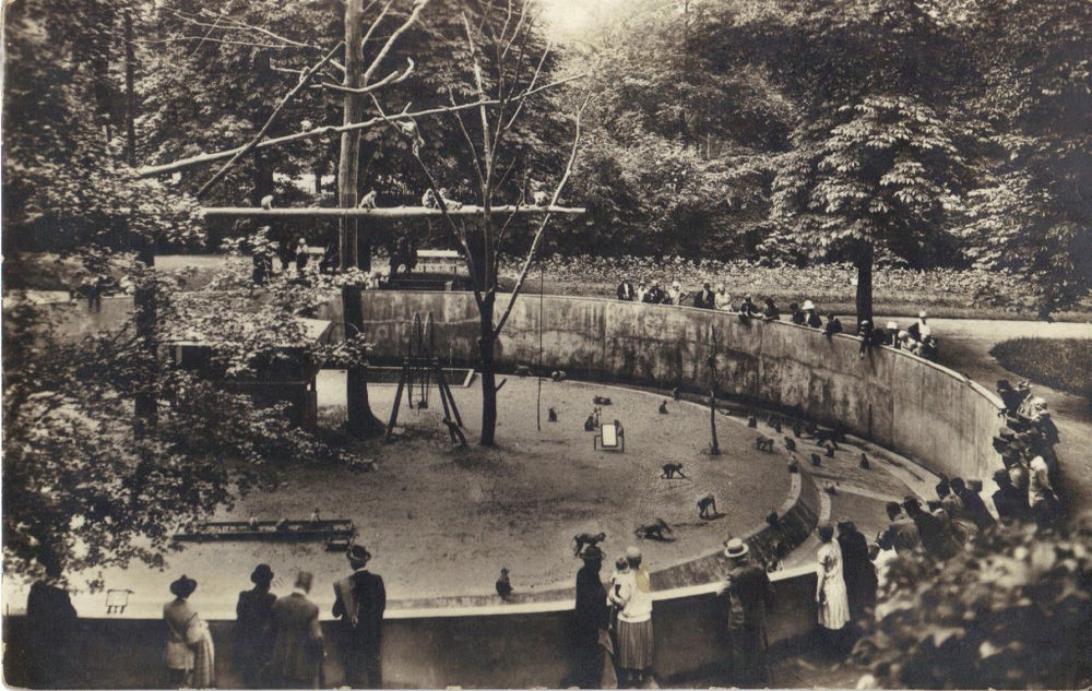 Zoologischer Garten