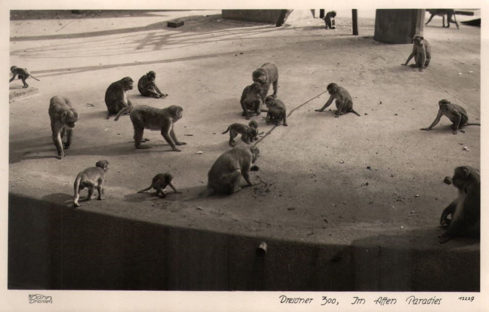 Zoologischer Garten