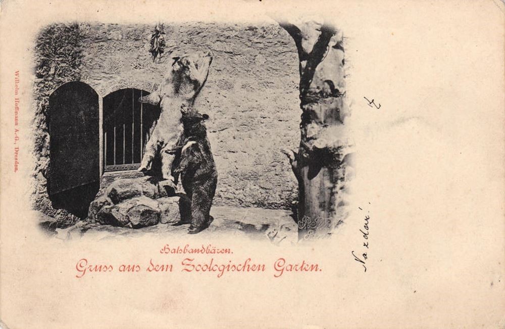 Zoologischer Garten