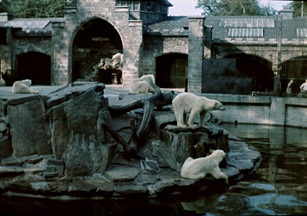 Zoologischer Garten
