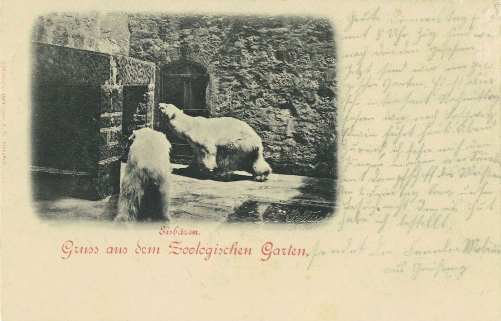 Zoologischer Garten