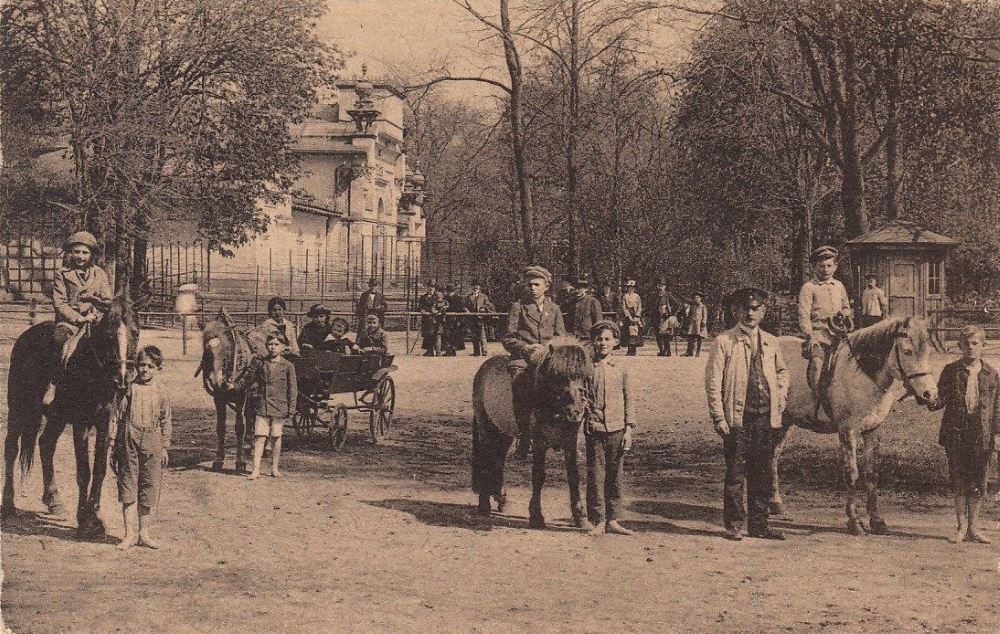 Zoologischer Garten