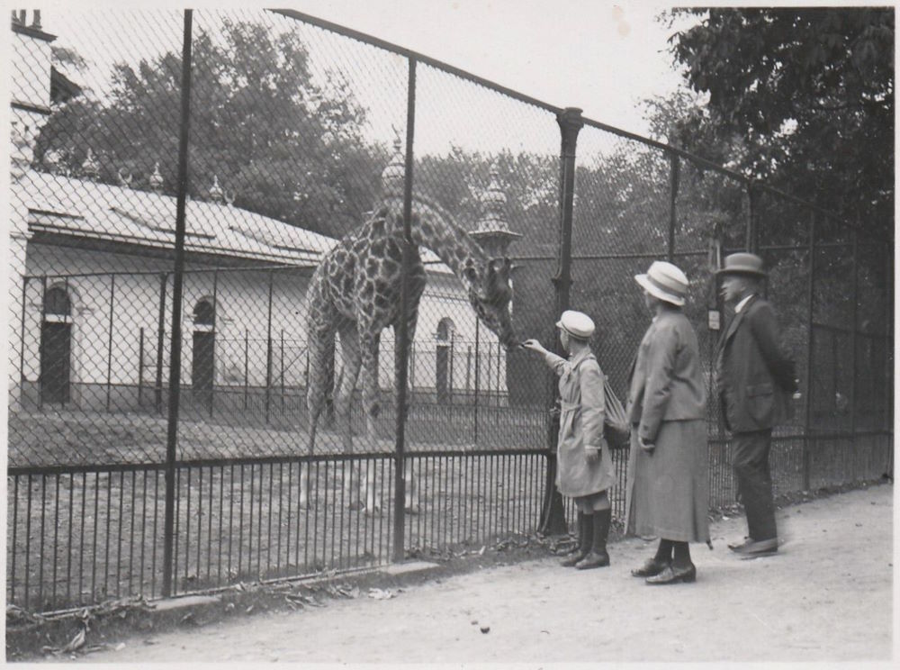 Zoologischer Garten