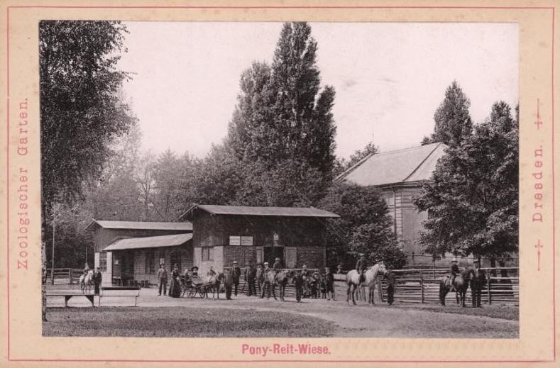 Zoologischer Garten