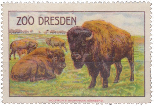 Zoologischer Garten
