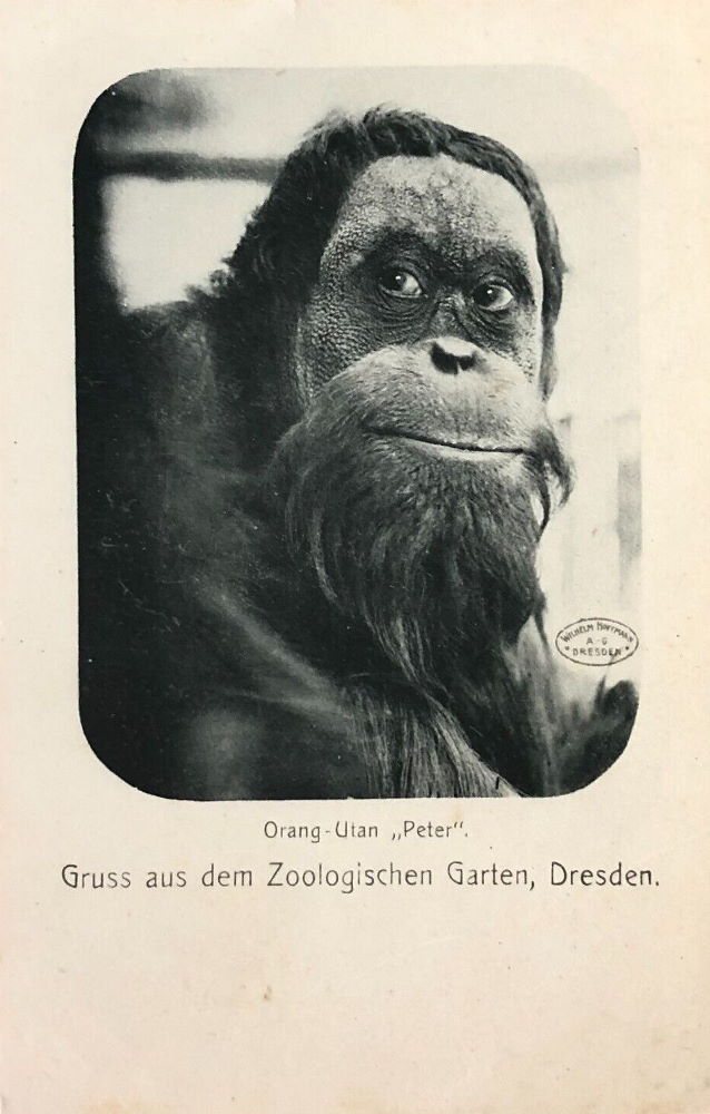 Zoologischer Garten