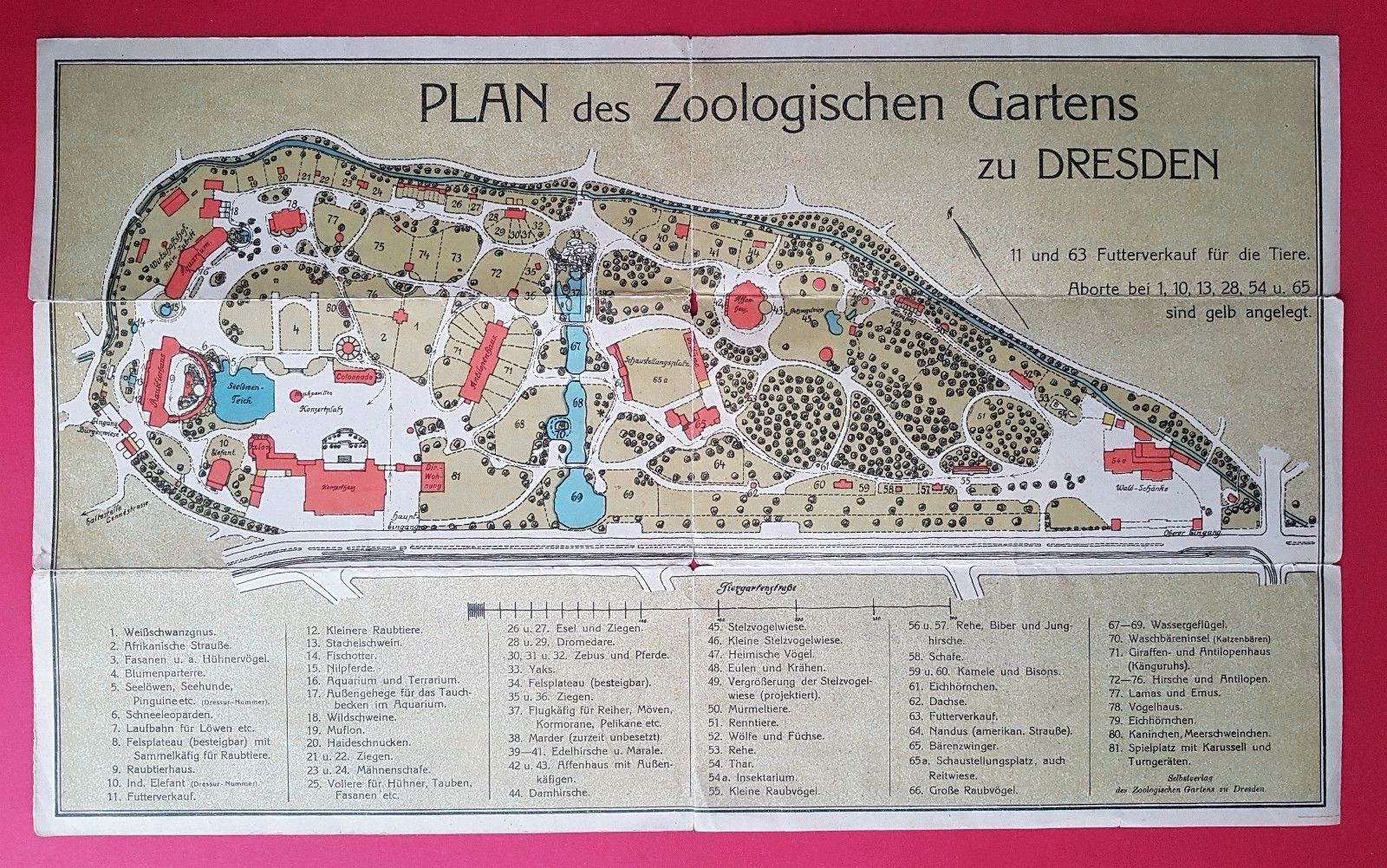 Zoologischer Garten