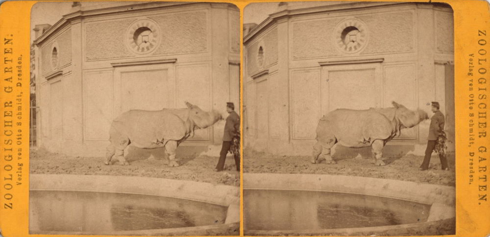 Zoologischer Garten