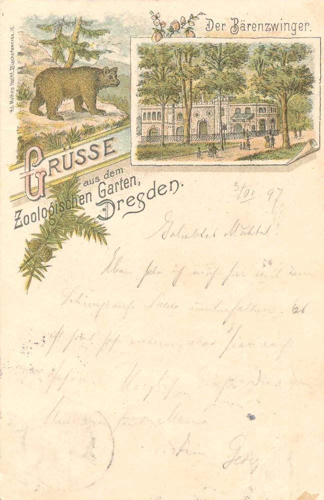 Zoologischer Garten