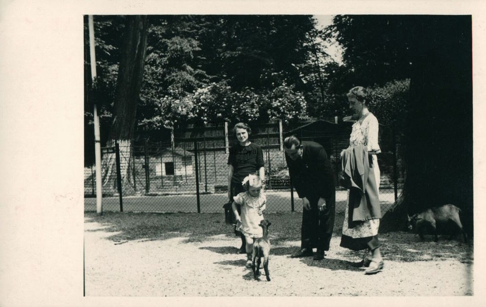 Zoologischer Garten