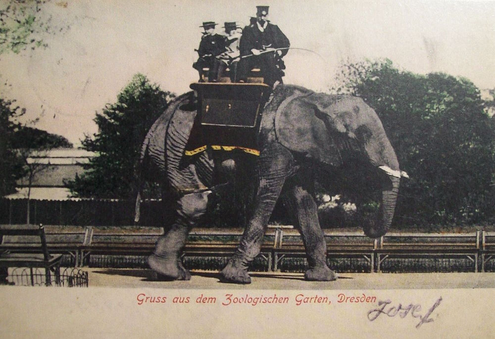 Zoologischer Garten