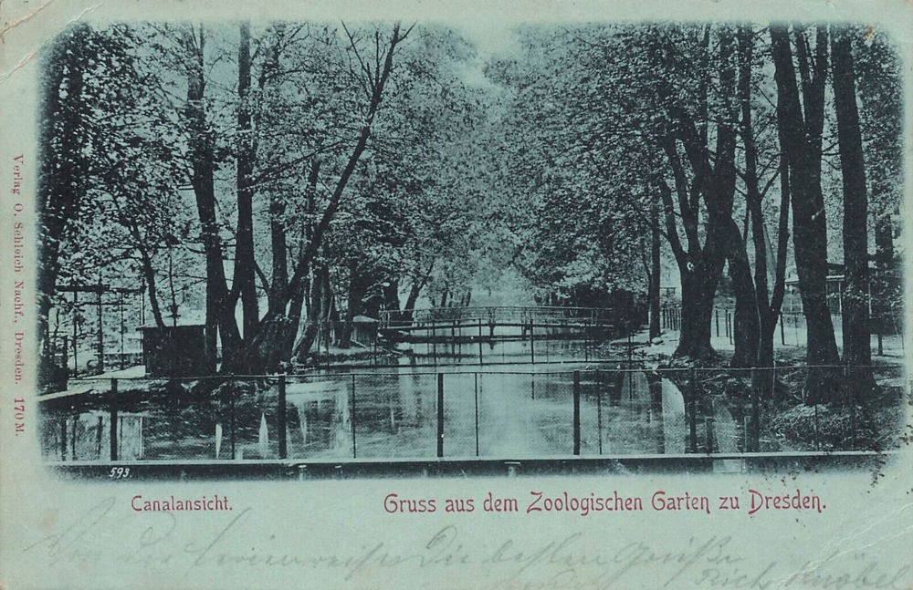 Zoologischer Garten