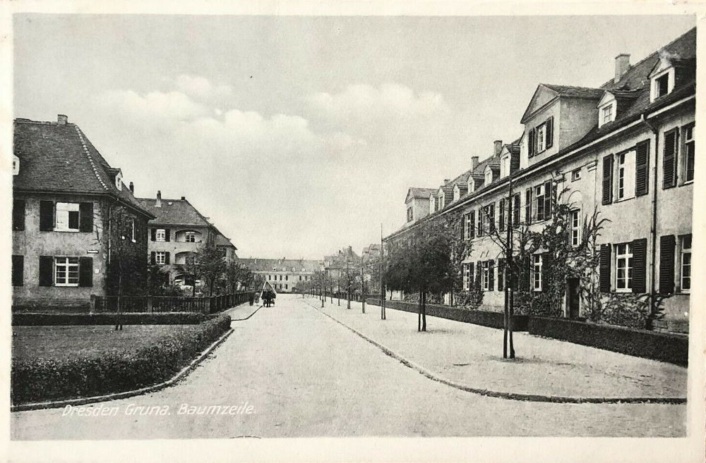 Baumzeile 1-19