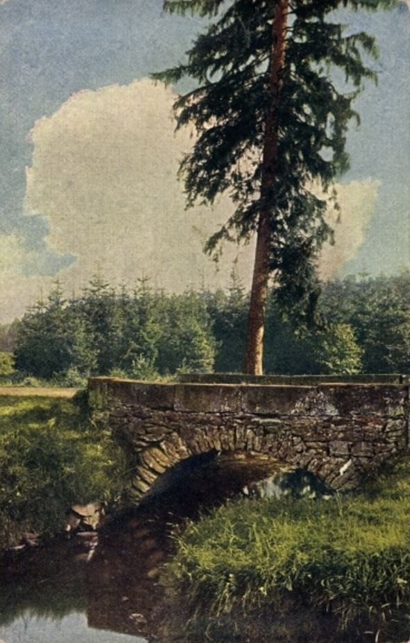 Alte Eins