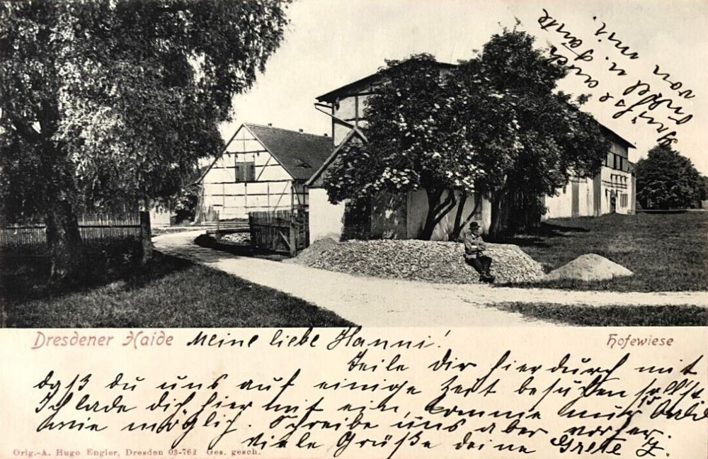 Gänsefuß 51