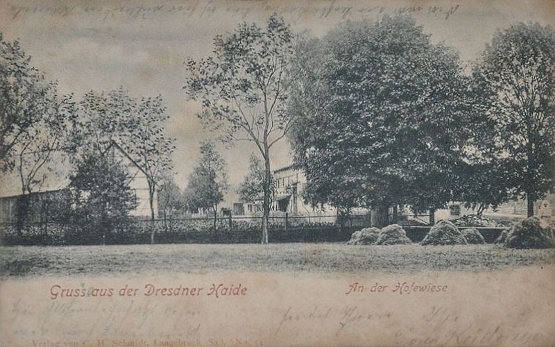 Gänsefuß 51