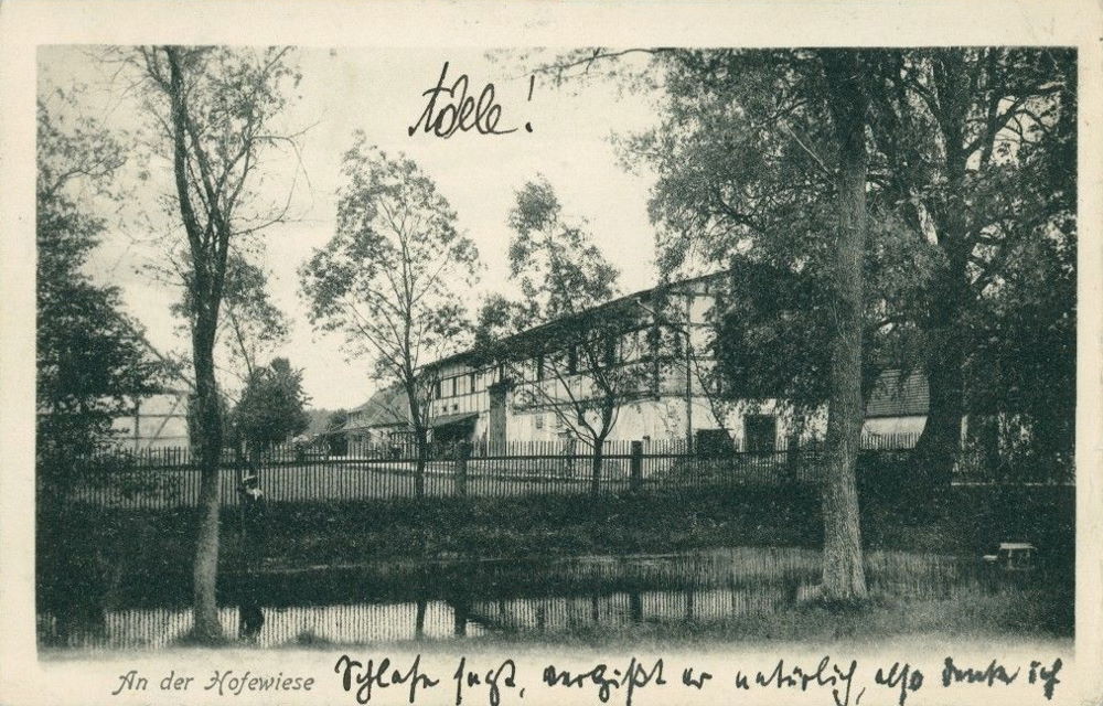Gänsefuß 51