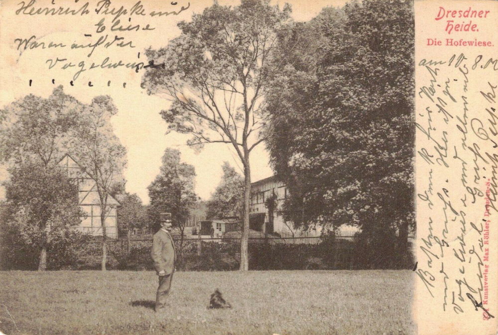 Gänsefuß 51