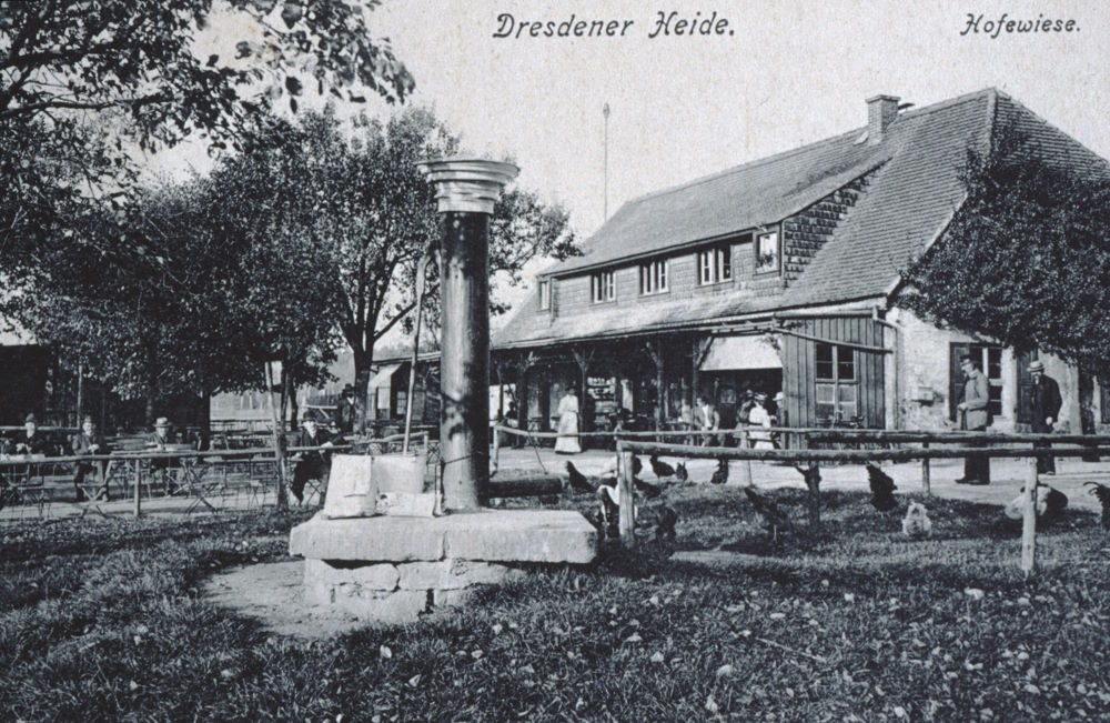 Gänsefuß 55