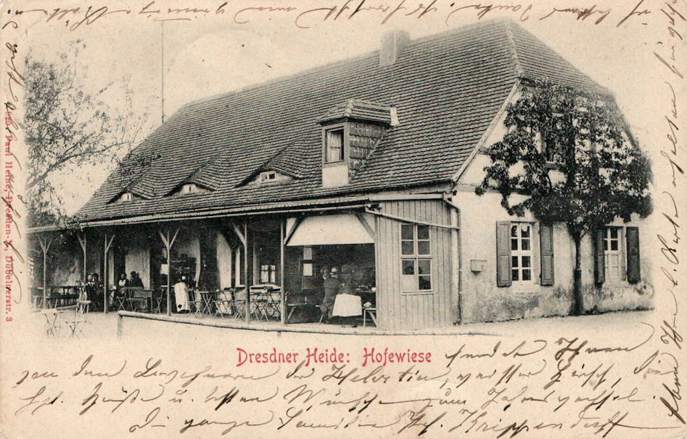Gänsefuß 55