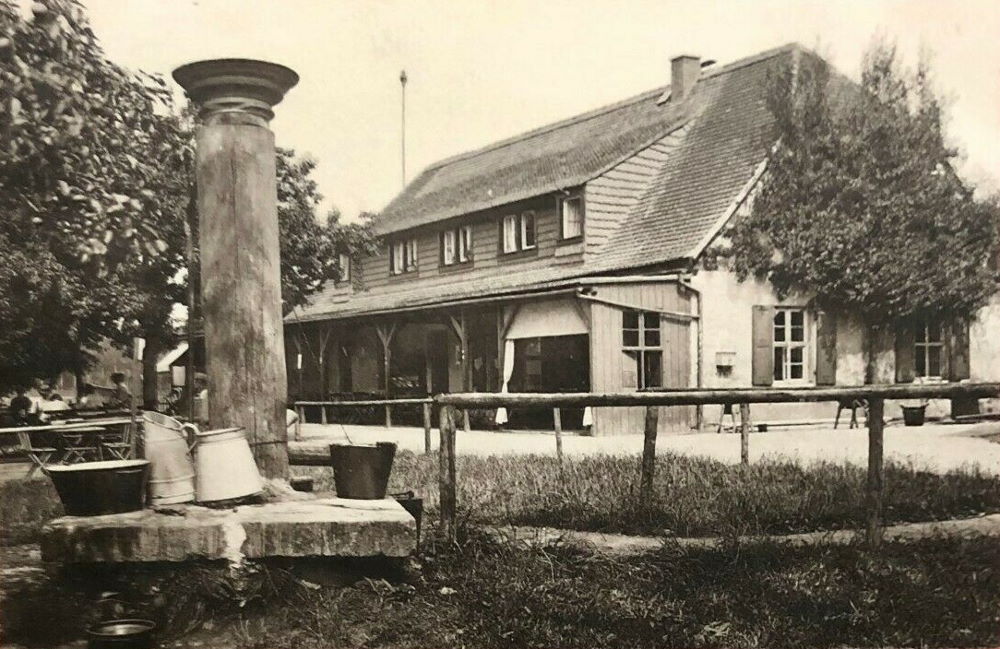 Gänsefuß 55