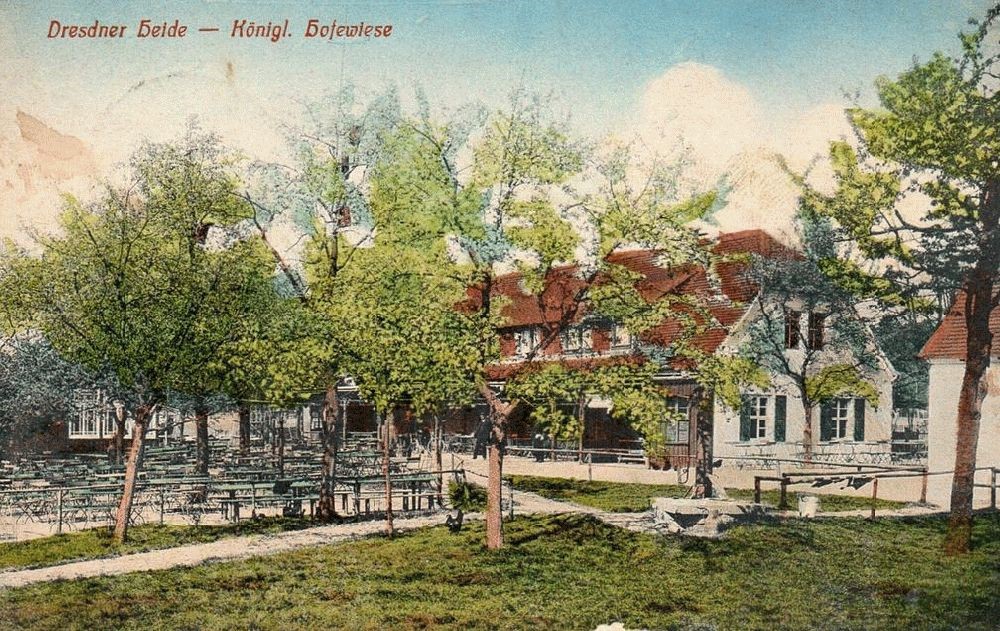 Gänsefuß 55