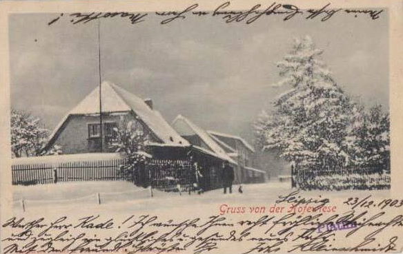 Gänsefuß 55