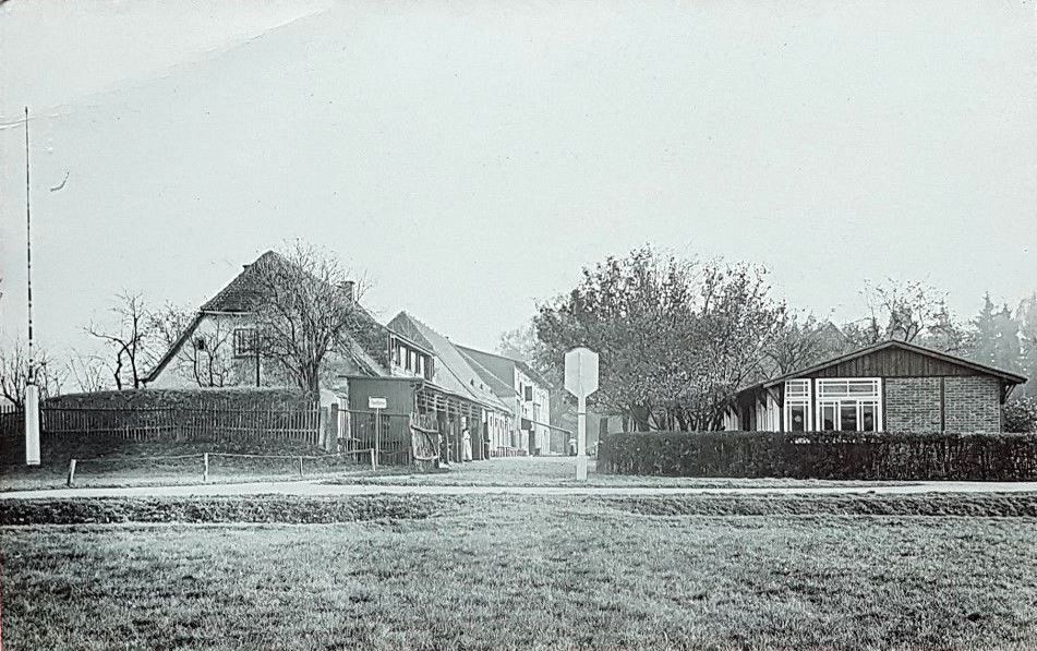 Gänsefuß 55