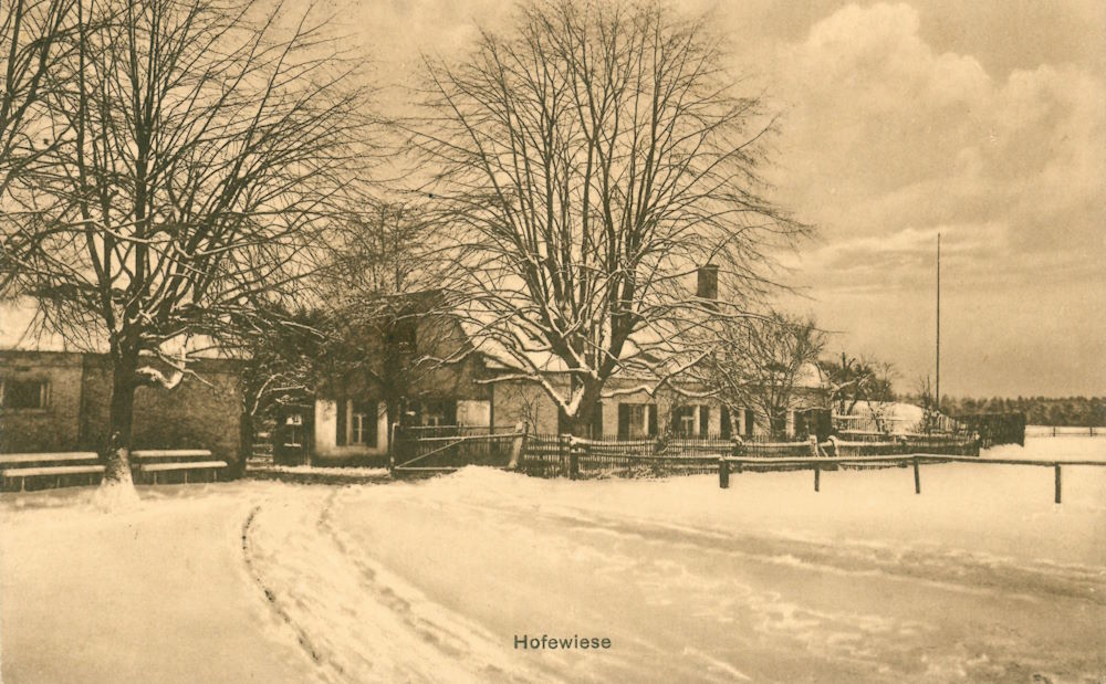 Gänsefuß 55