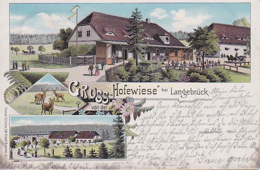 Gänsefuß 55