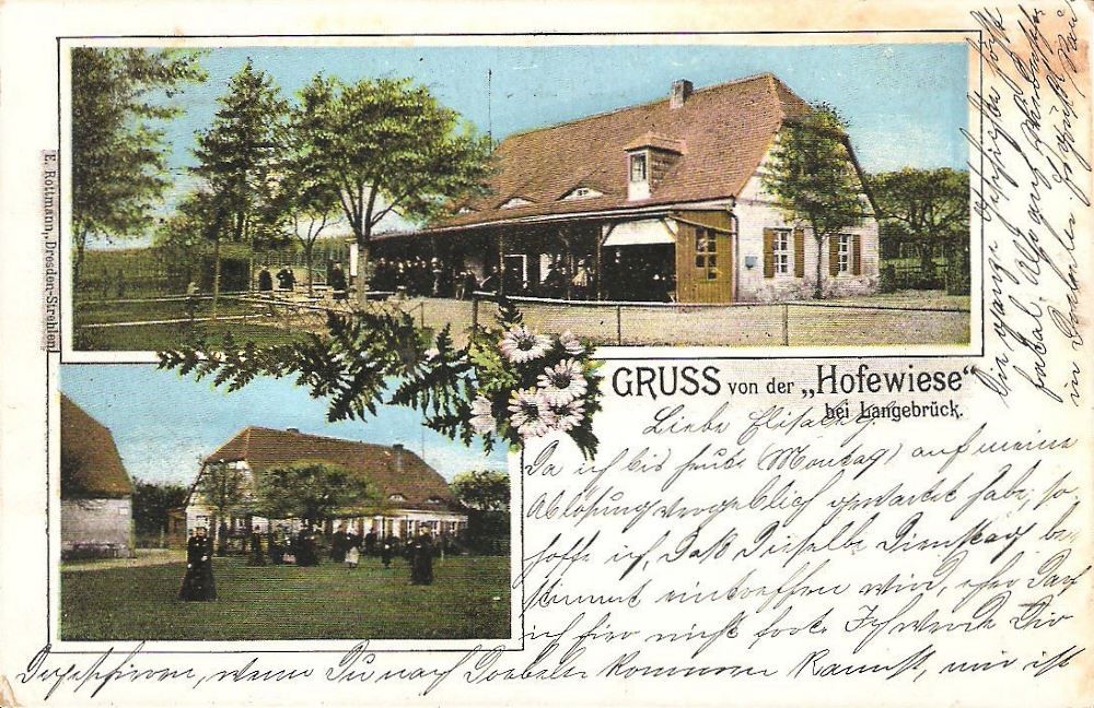 Gänsefuß 55