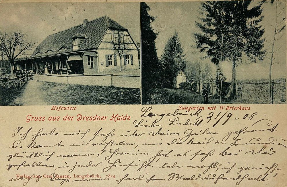 Gänsefuß 55